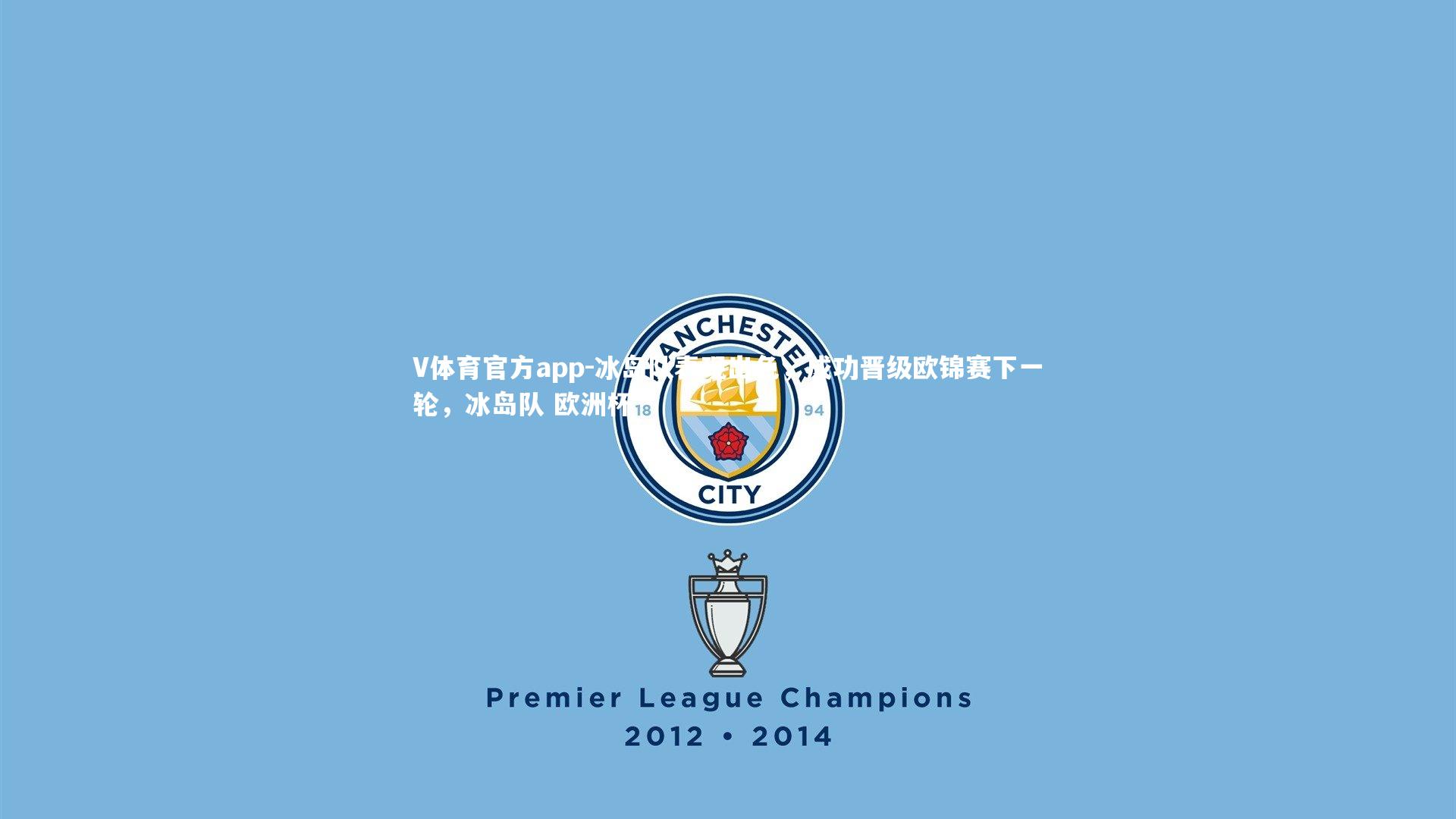 冰岛队表现出色,成功晋级欧锦赛下一轮,冰岛队 欧洲杯