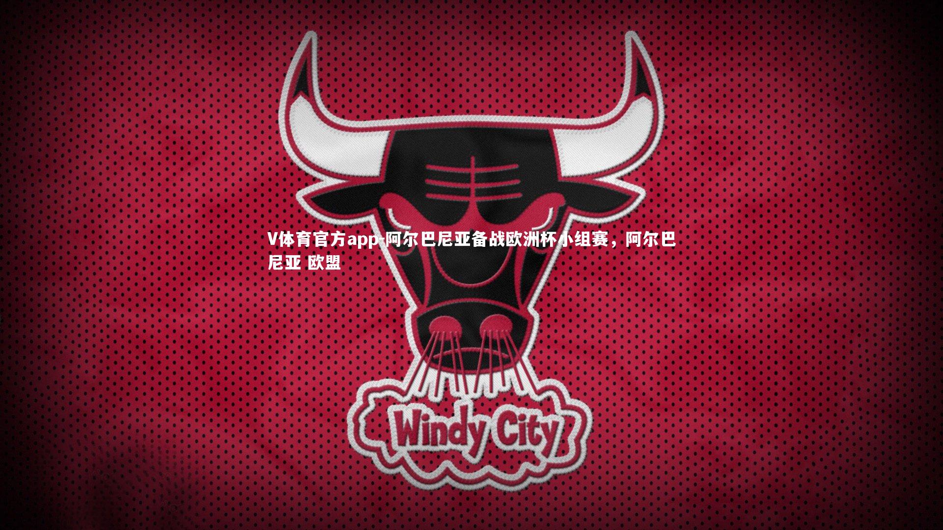 阿尔巴尼亚备战欧洲杯小组赛，阿尔巴尼亚 欧盟