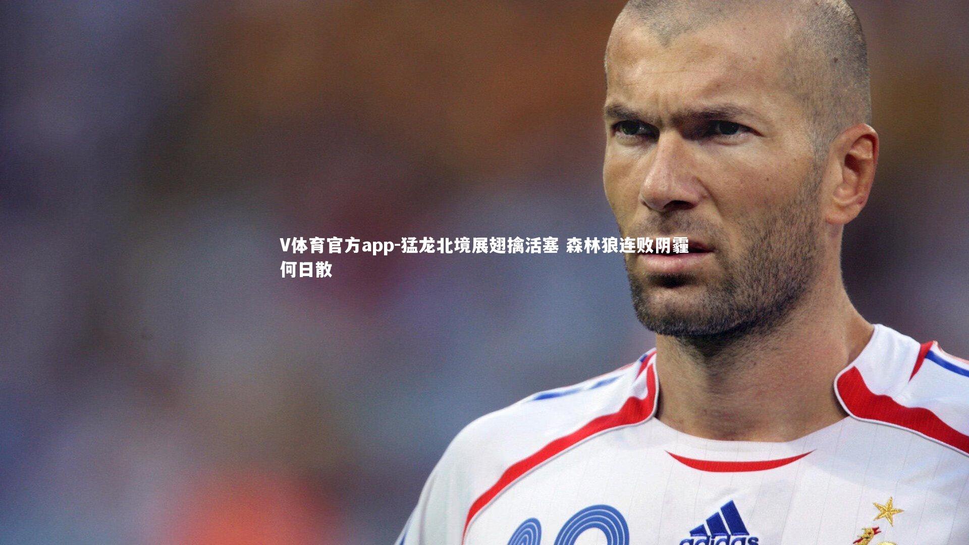 猛龙北境展翅擒活塞 森林狼连败阴霾何日散